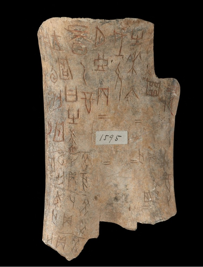 商代甲骨實物,作為古文字資料樣本